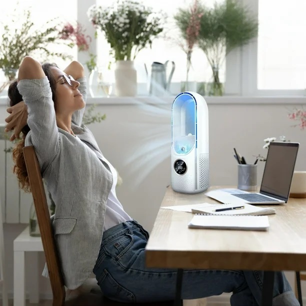 Ventilatore Portatile: Recensione